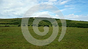 White horse of LitlingtonÂ  village in theÂ CuckmereÂ valley inÂ East Sussex, England,Â 